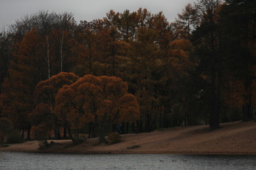 Фотография автора Настя