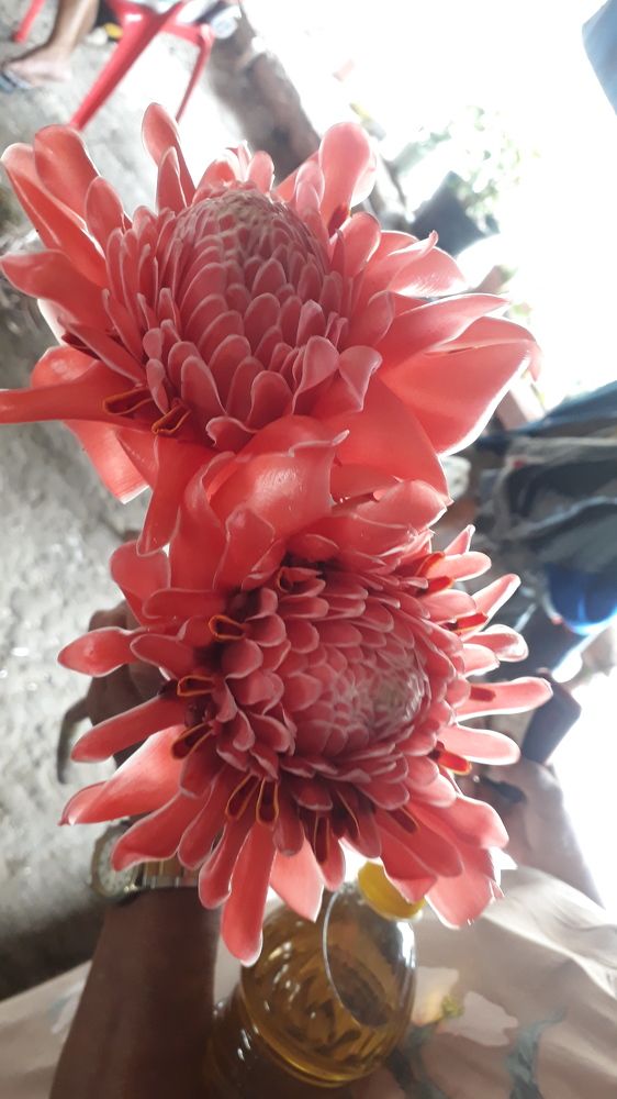 Photo #6583698