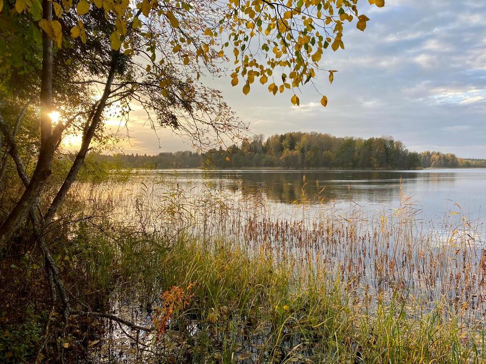 Photograph by Galina Leskova