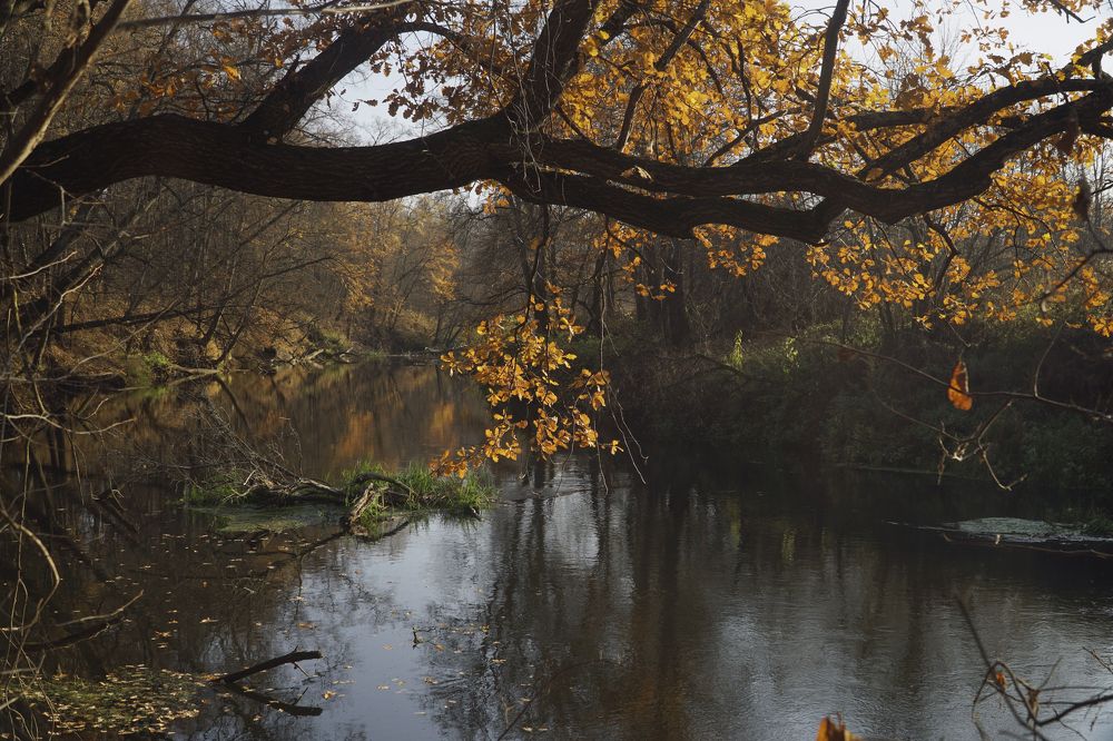 Photograph by Измаил Ефимов