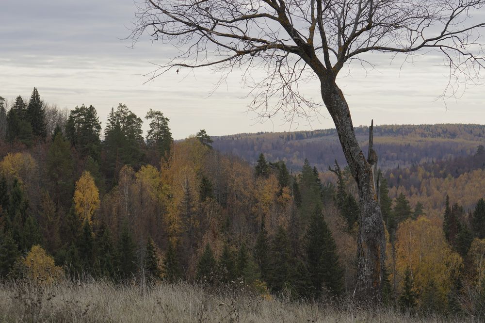 Photograph by Измаил Ефимов