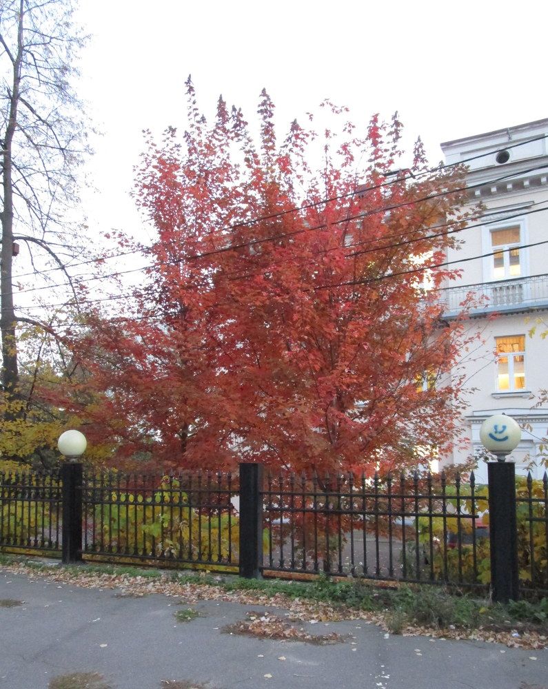Photo #6583737