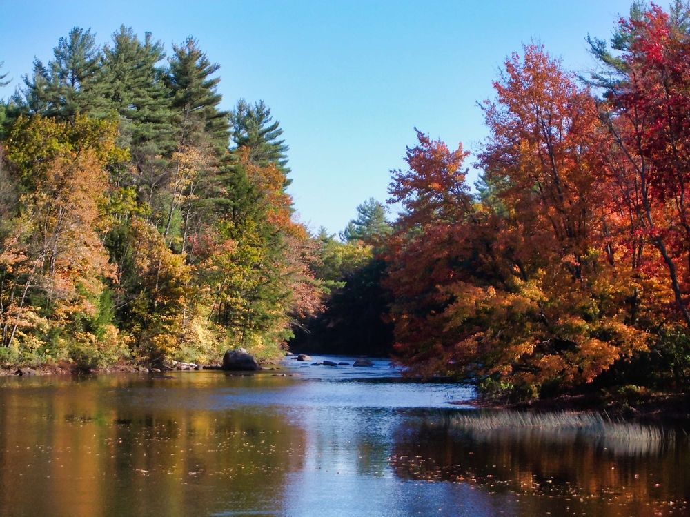 Photograph by Leo Tujak