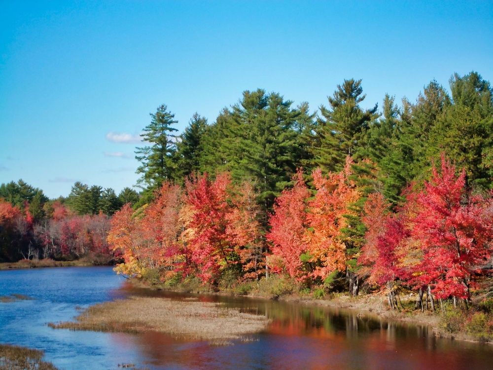 Photograph by Leo Tujak