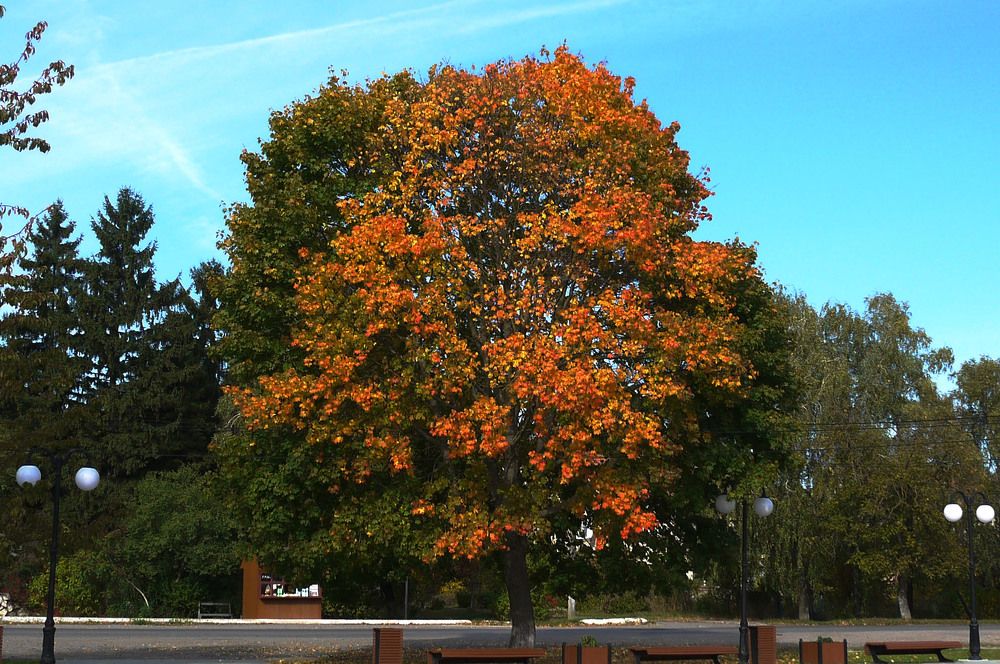 Photograph by Володимир Федишин