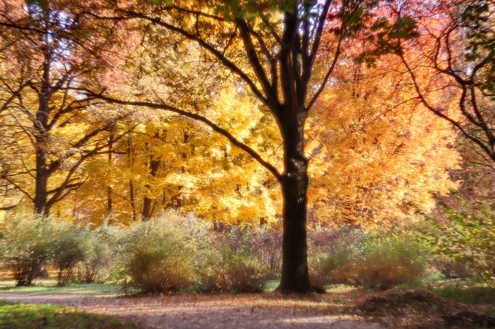 Photograph by Константин Лагоденко