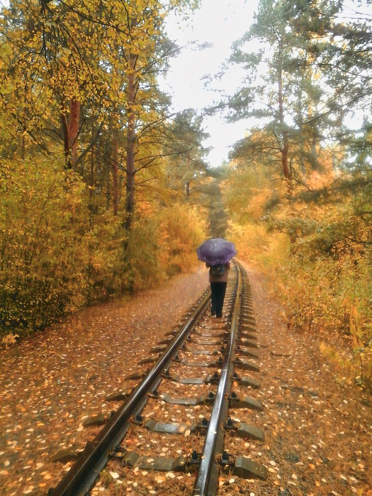 Уходящая в даль