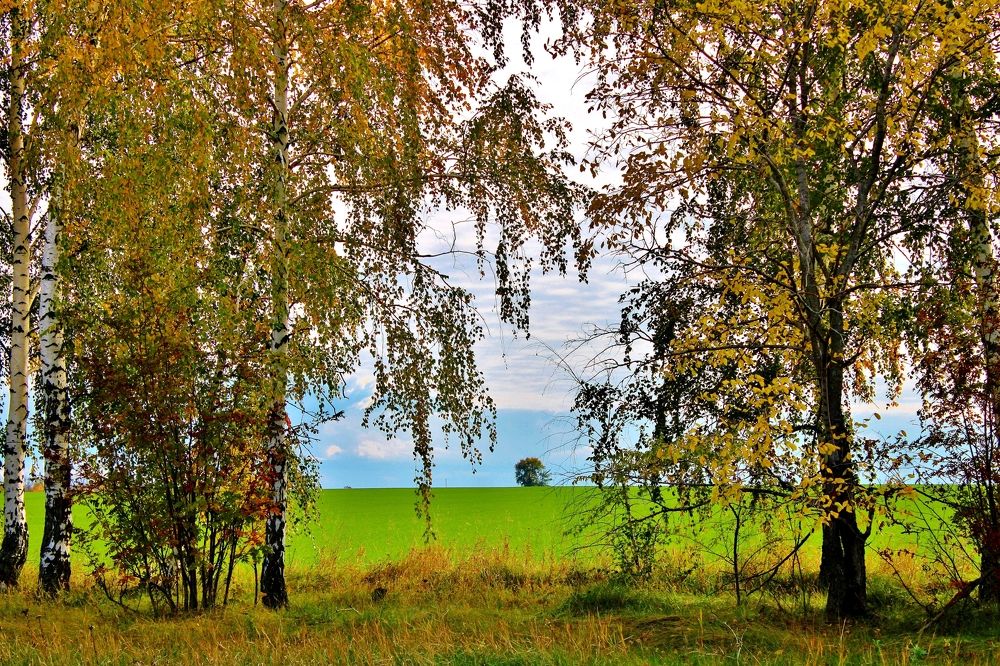 Photograph by Анна Восковых