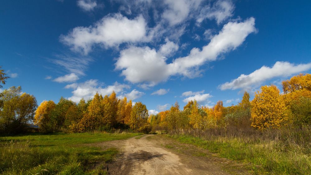 Photograph by Алексей Думин