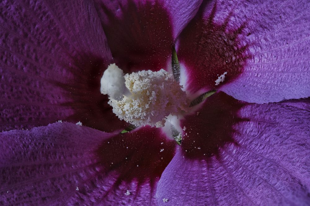 Photograph by Владимир Кваша