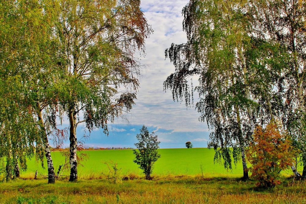 Photograph by Анна Восковых