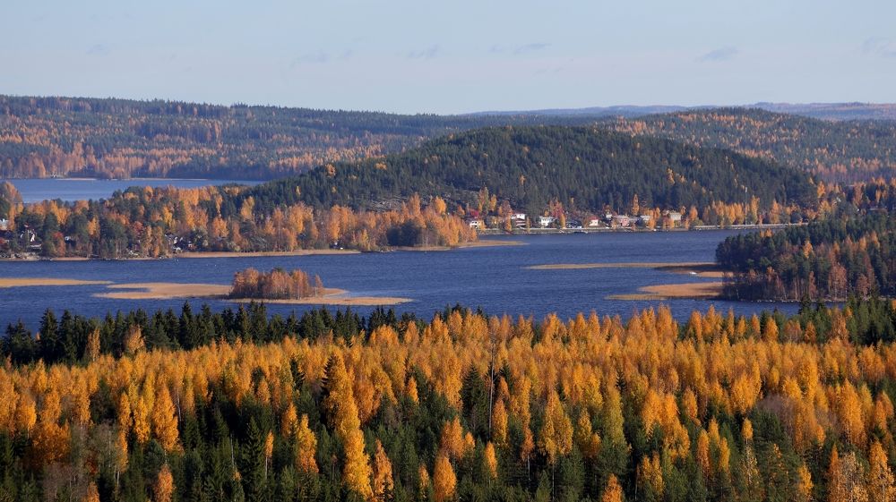 Осенние дали.