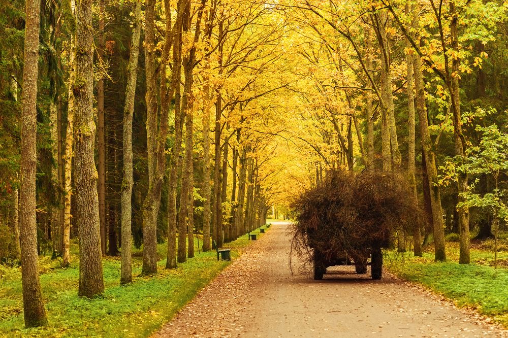 Фотография автора Михаил Балаев