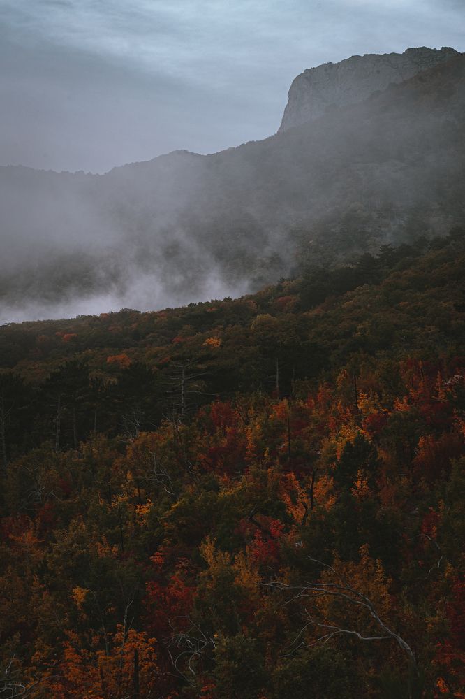 Photograph by Максим Акимов