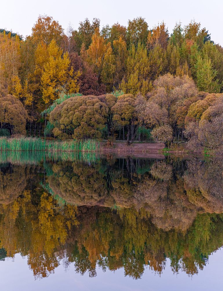 Photograph by Дмитрий Жижин