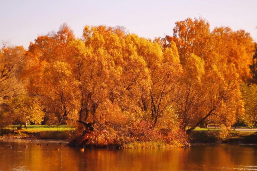 Photograph by Константин Лагоденко