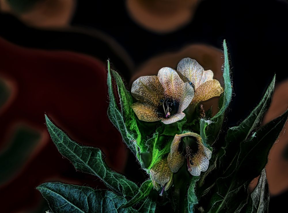 Photograph by Владимир Кваша