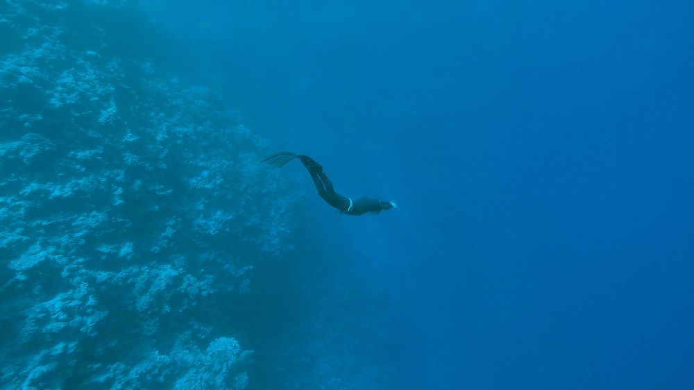 Photograph by Александр Серняк