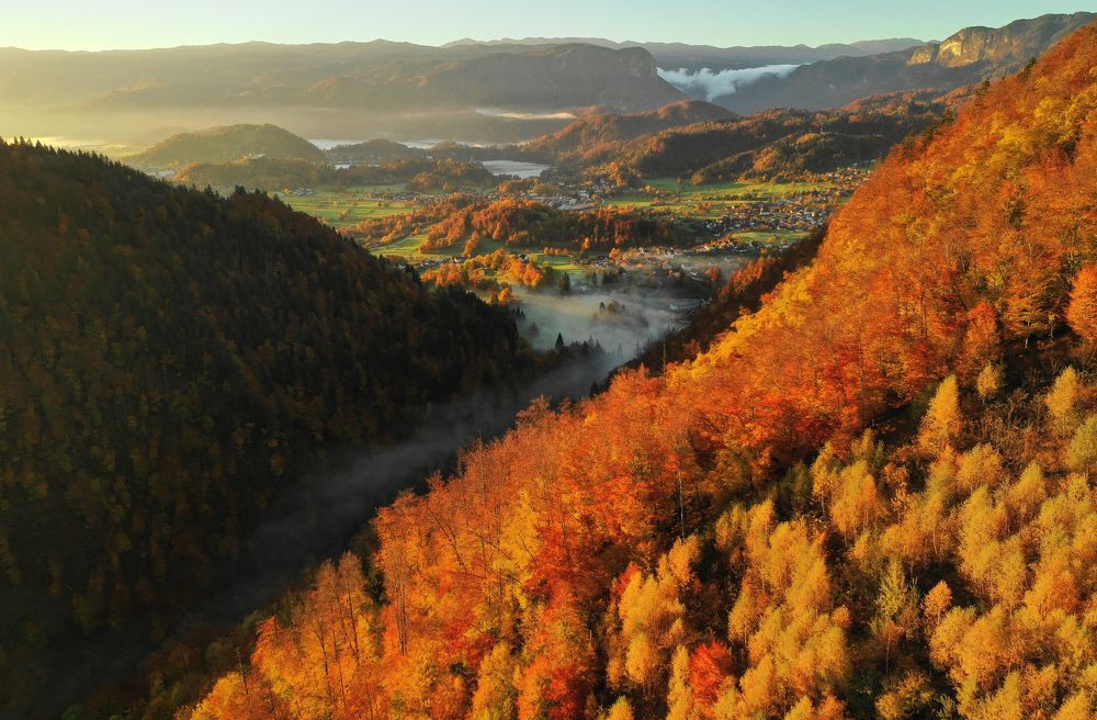 Photograph by Aleš Krivec