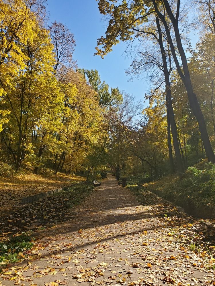 Photograph by Евгения Алексеева