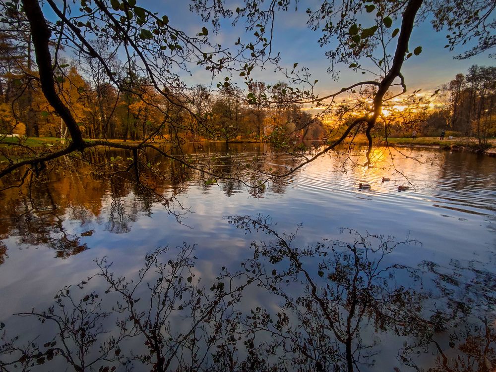 Photograph by Chic.chiquitita