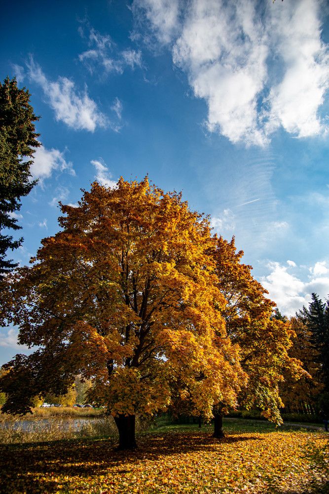 Photograph by Денис Гуляев