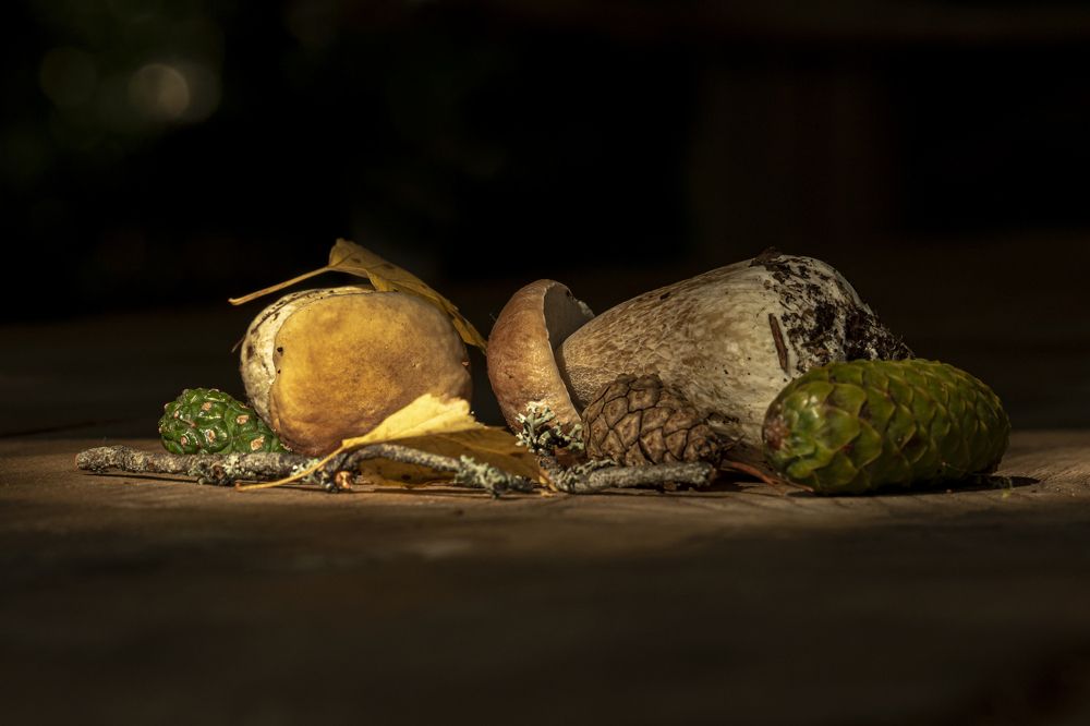 Photograph by Юлия Куликова