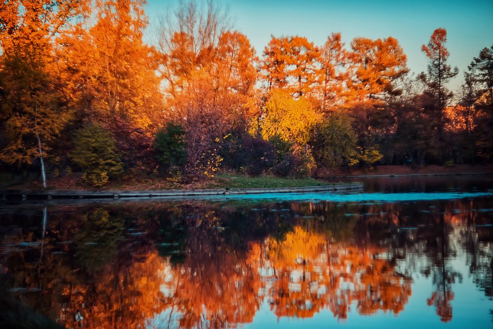 Photograph by Ксения Базарова