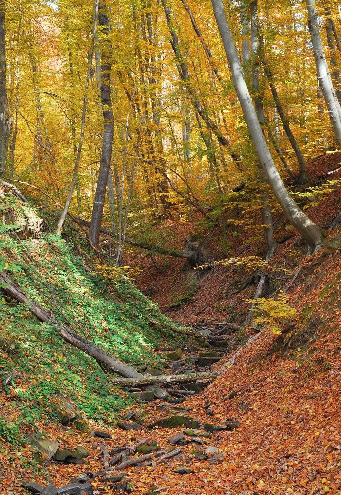 Photograph by Александра Иванова