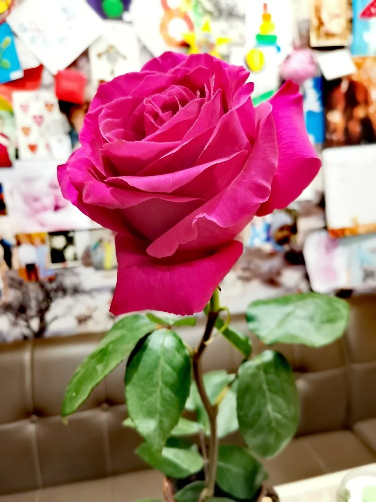 Photograph by Ekaterina Stepanchyk