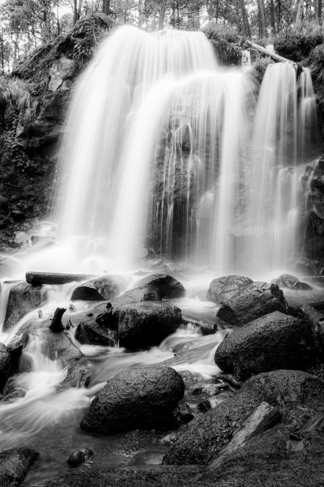 Photograph by Sosa Betsabé