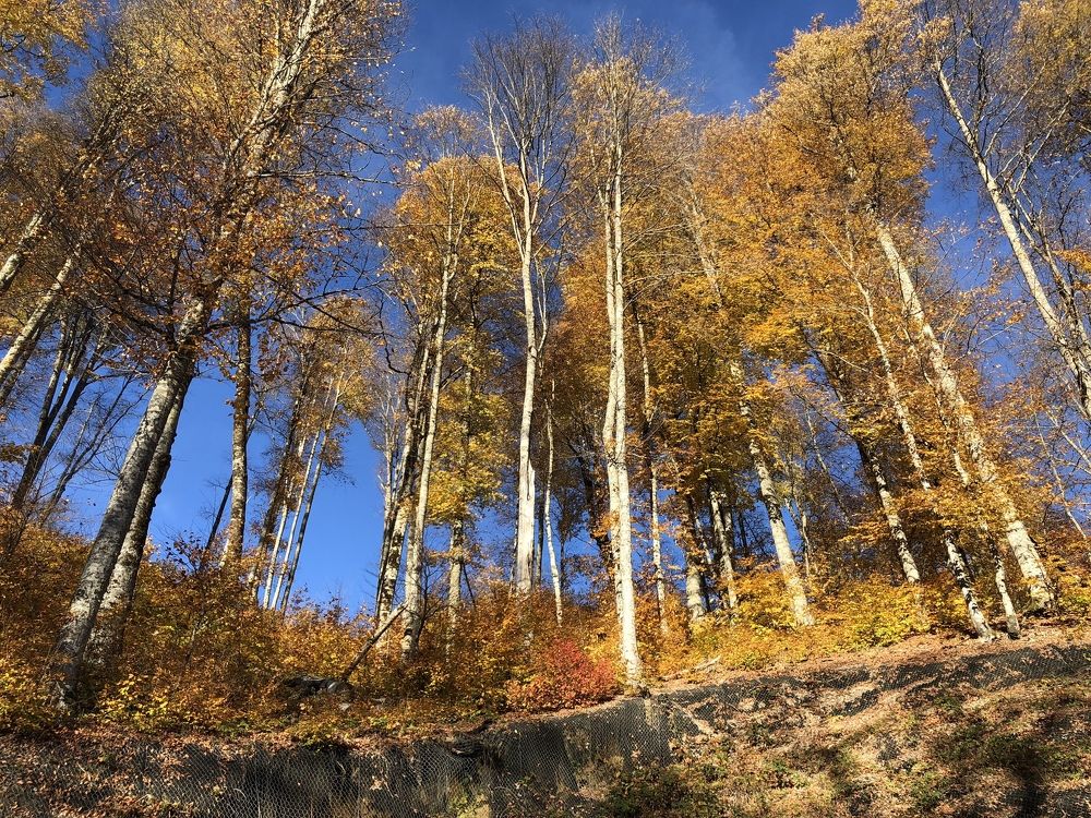 Photograph by Наталья