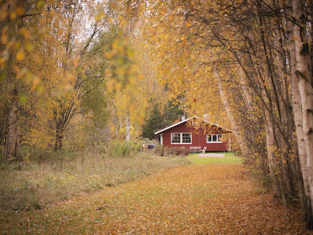 Photograph by Liudmila Drake