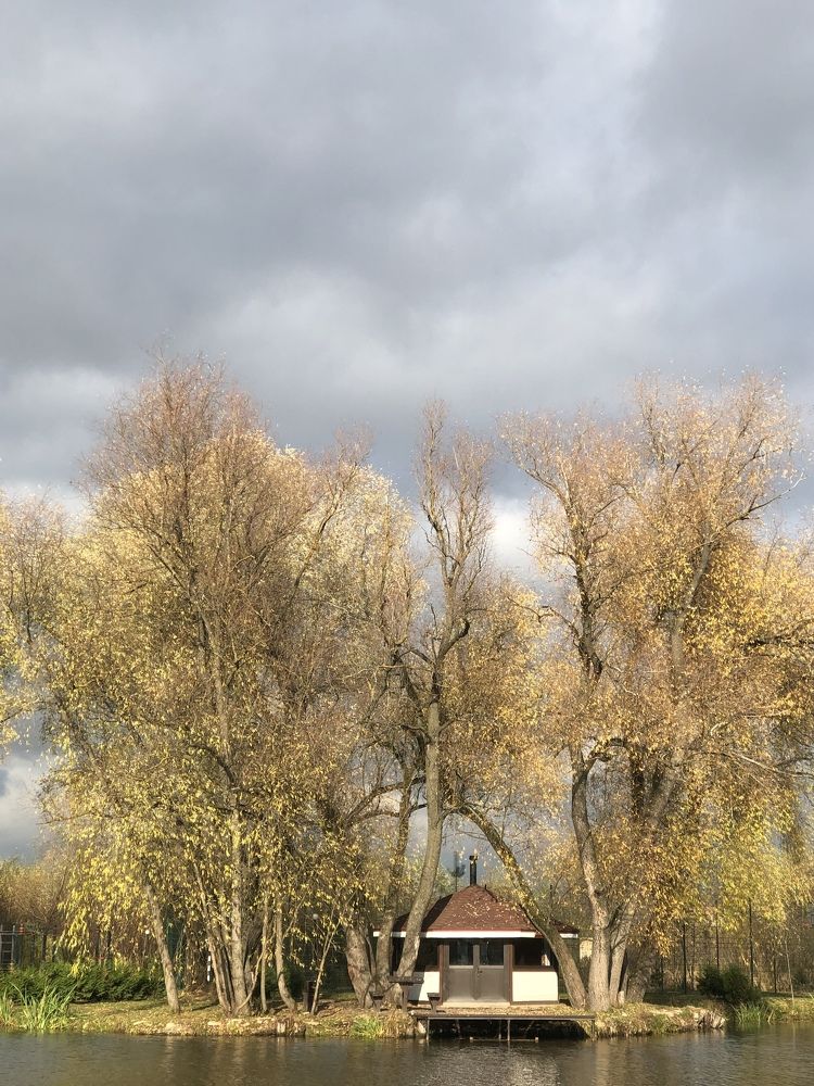 Photograph by Наталья