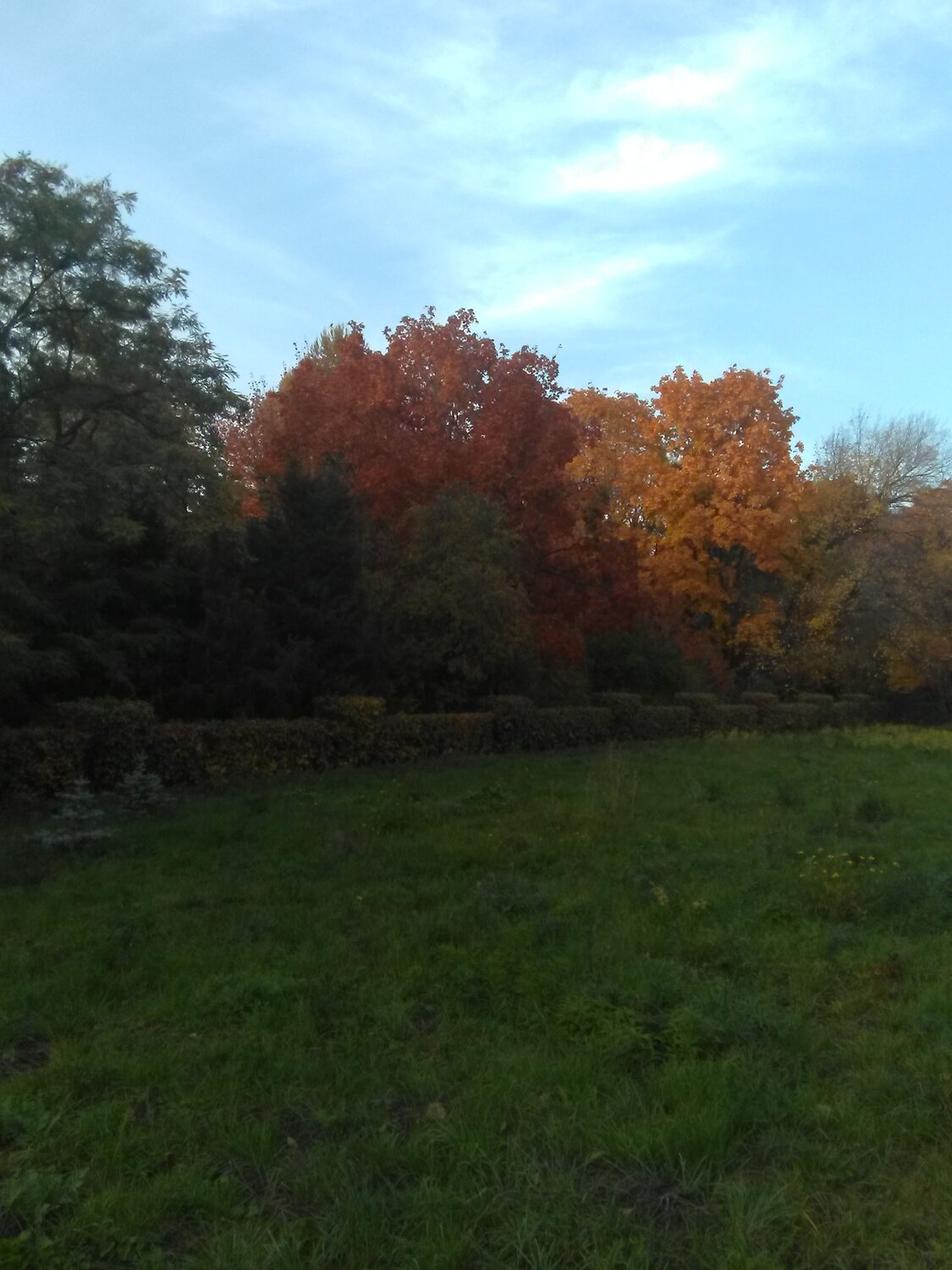 Photo #6584387
