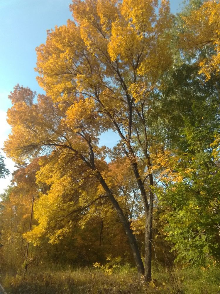 Photo #6584399