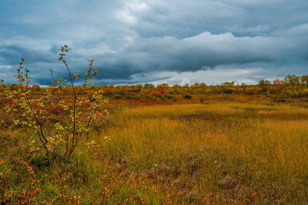 Photograph by Марина Зборацкая