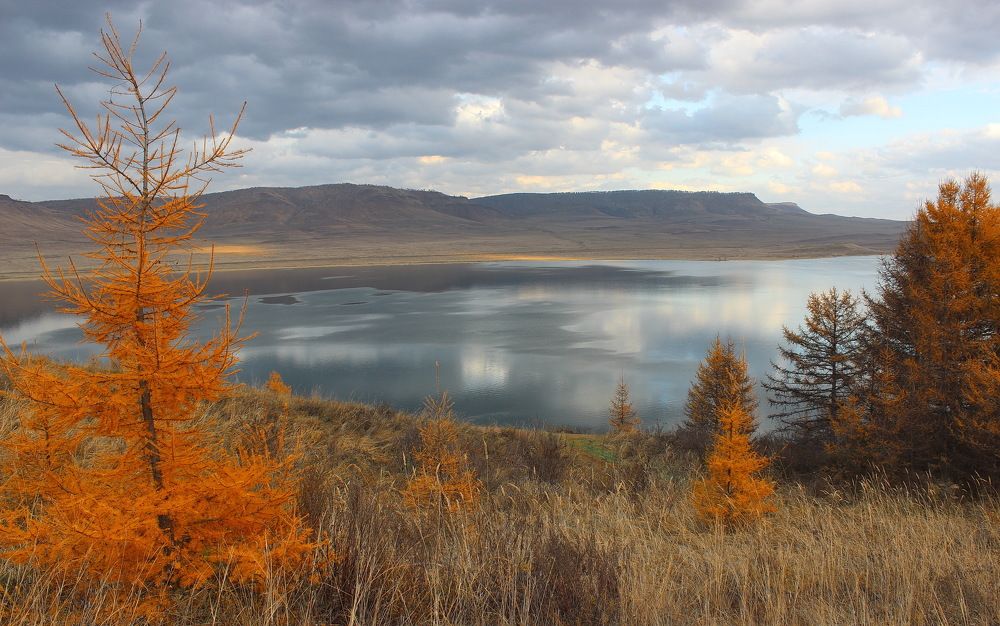 Photograph by Наталья Юрова