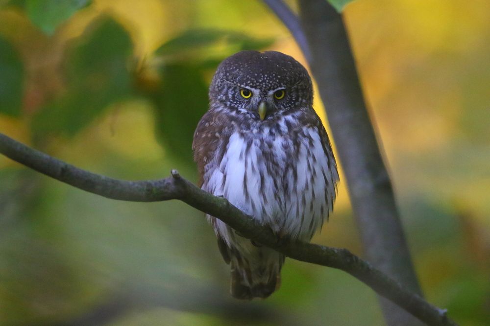 Photograph by Piotr Warzecha