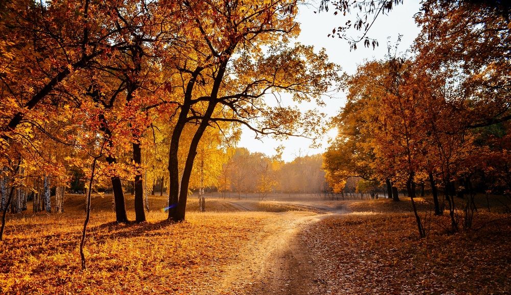 Photograph by Эльмира Владимирова