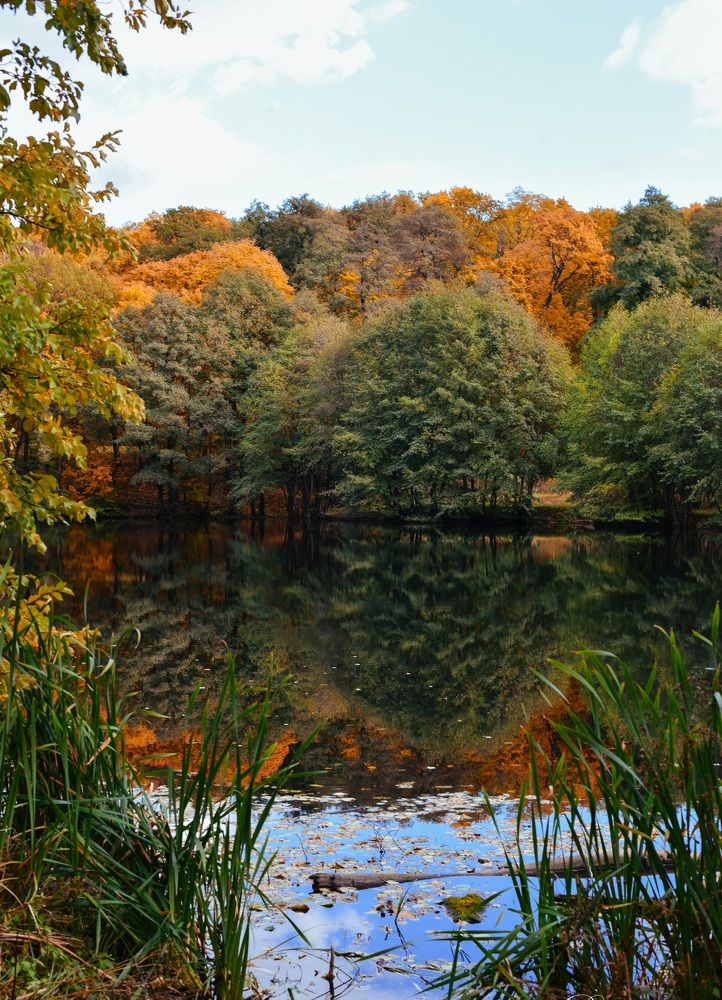 Photograph by Эльмира Владимирова