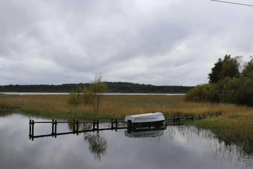 Фотография автора Татьяна Свистулина