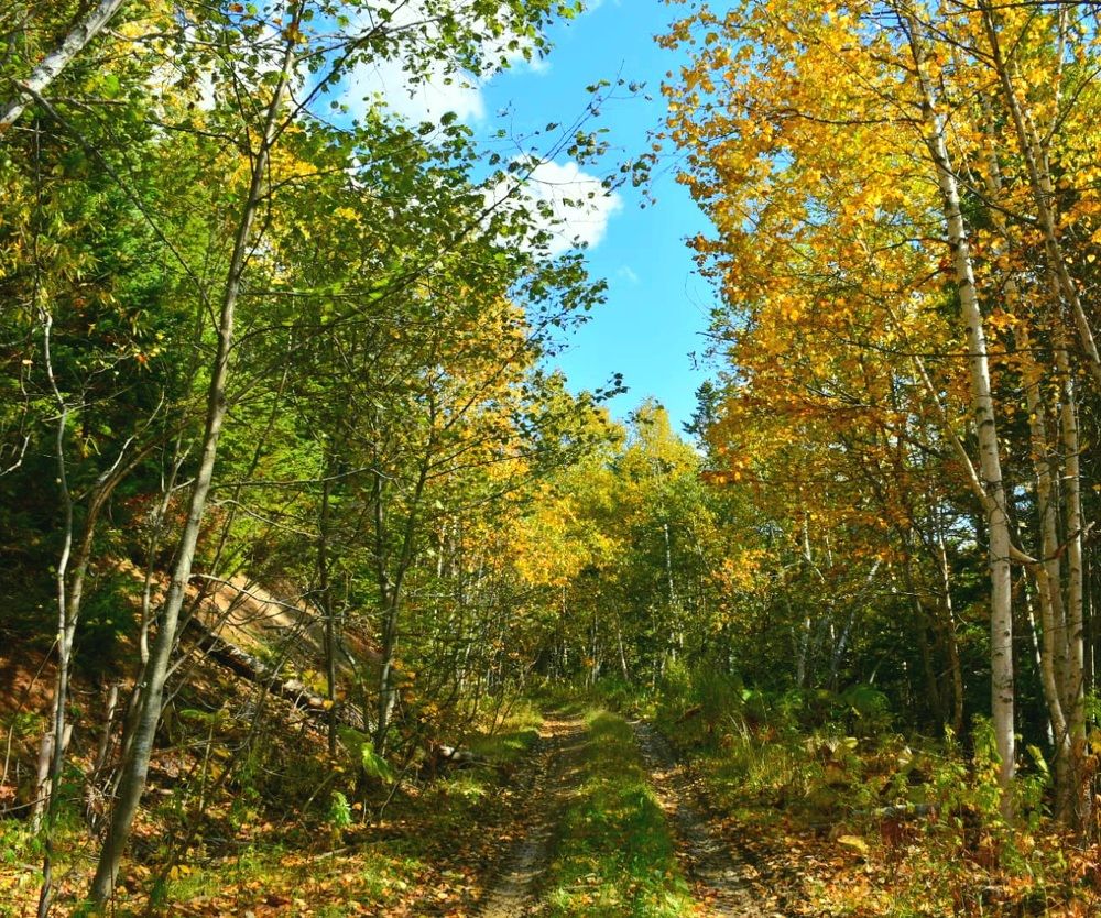 Photograph by Наталья Налобина