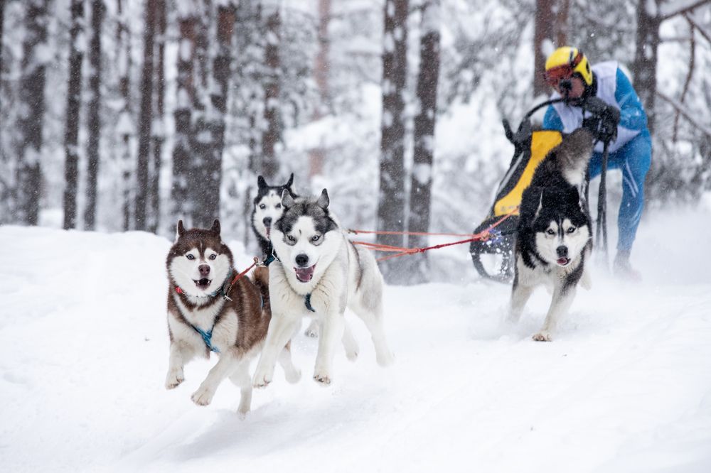 Photograph by Илья Юфа