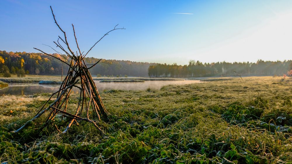 Photograph by Александр Елизаров