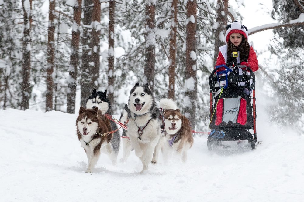 Photograph by Илья Юфа