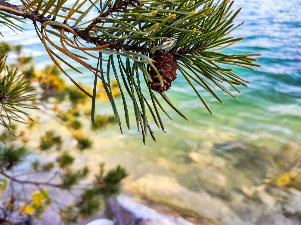 Photograph by Олександр Дормидонтов