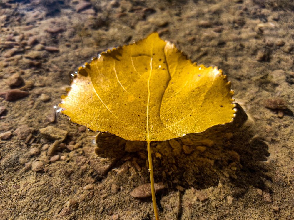 Photograph by Олександр Дормидонтов