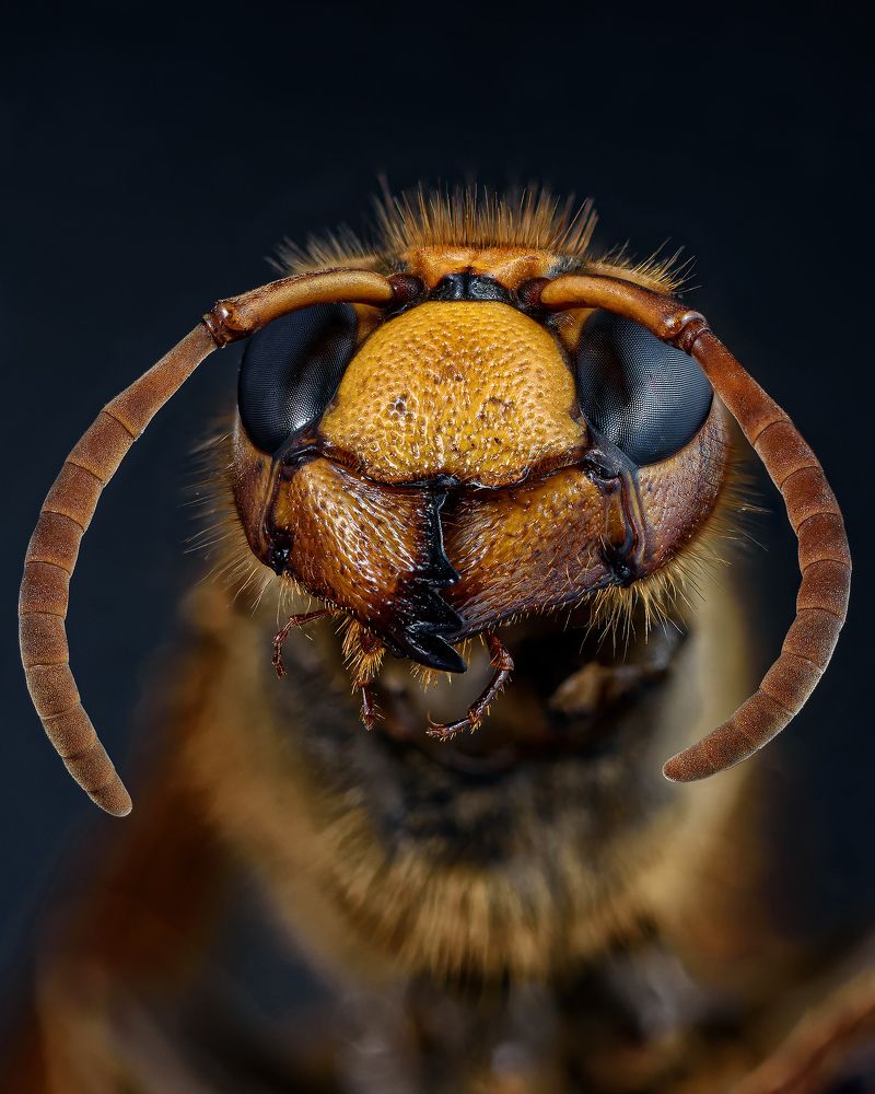 Photograph by Alexander Plaksin