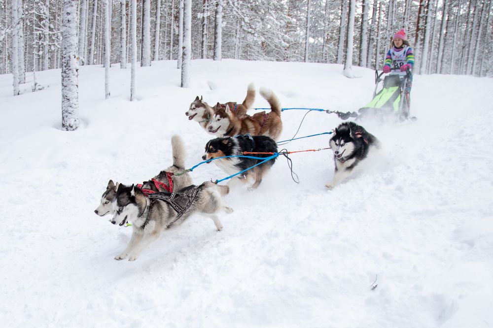 Photograph by Илья Юфа